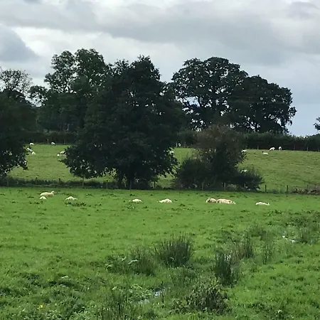 Maltkiln Barbon